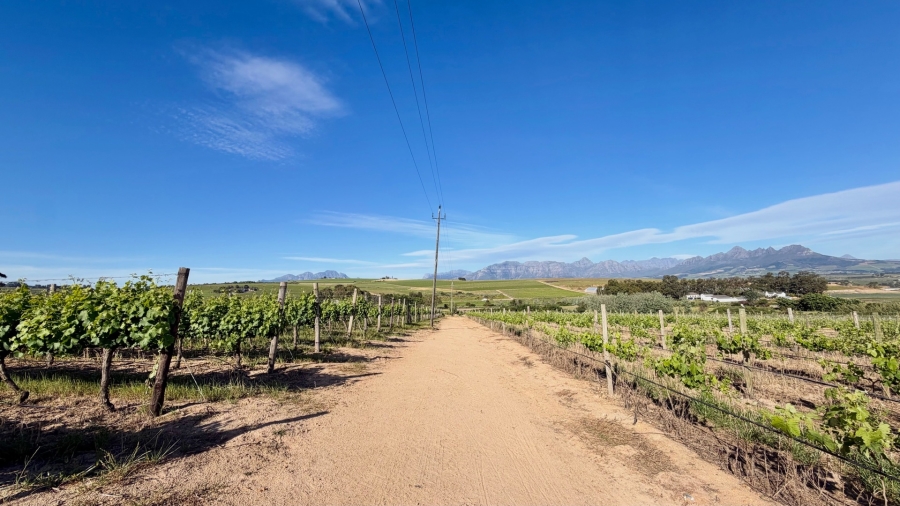 Commercial Property for Sale in Stellenbosch Farms Western Cape
